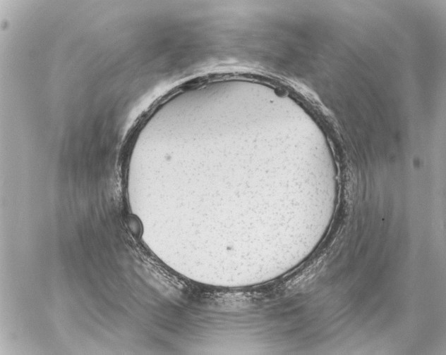 X0000059081167200511041813