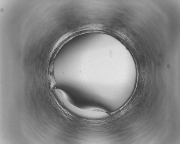 X0000059081168200511041813