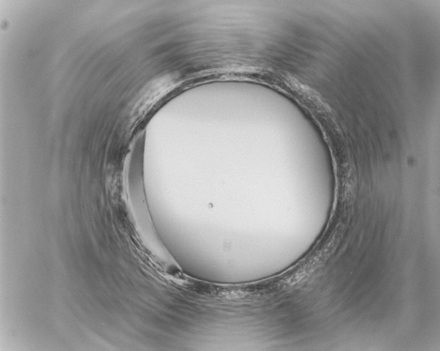 X0000059081169200511041813