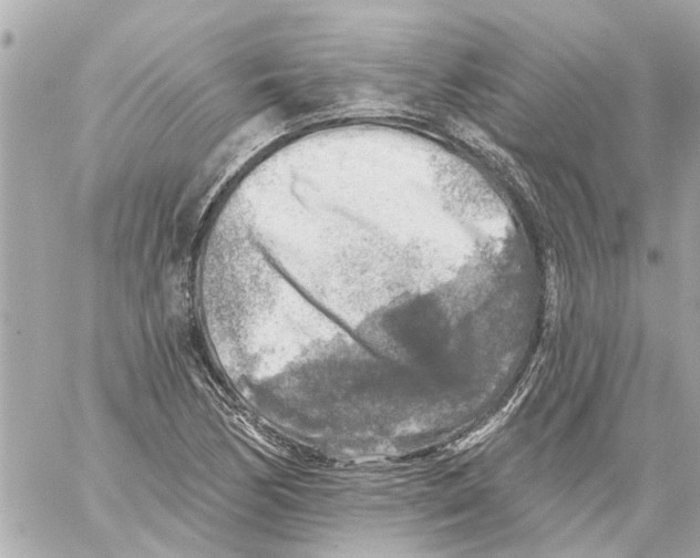 X0000059081170200511041813