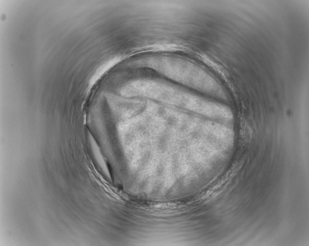 X0000059081171200511041813