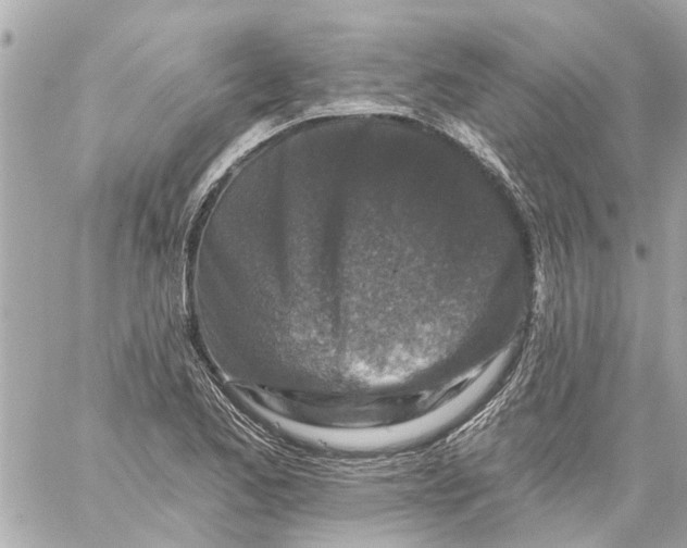 X0000059081173200511041813