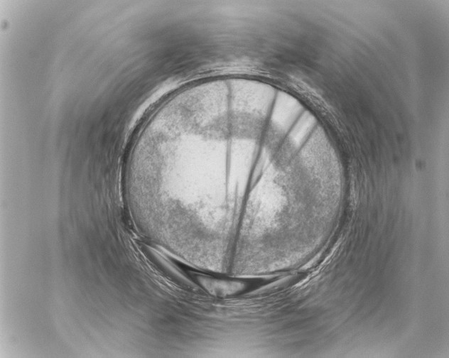 X0000059081174200511041813