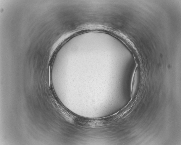 X0000059081175200511041813