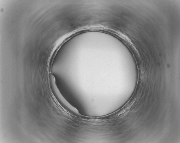 X0000059081176200511041813