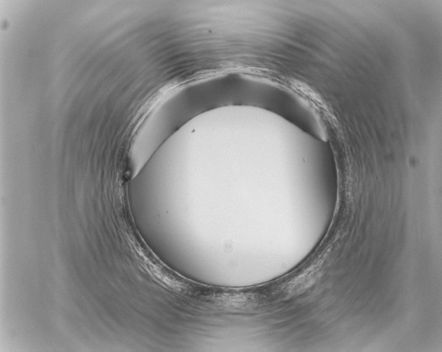 X0000059081177200511041813