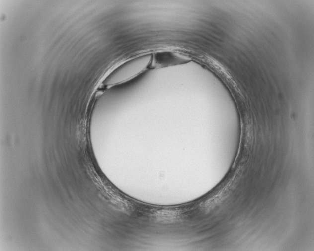 X0000059081178200511041813