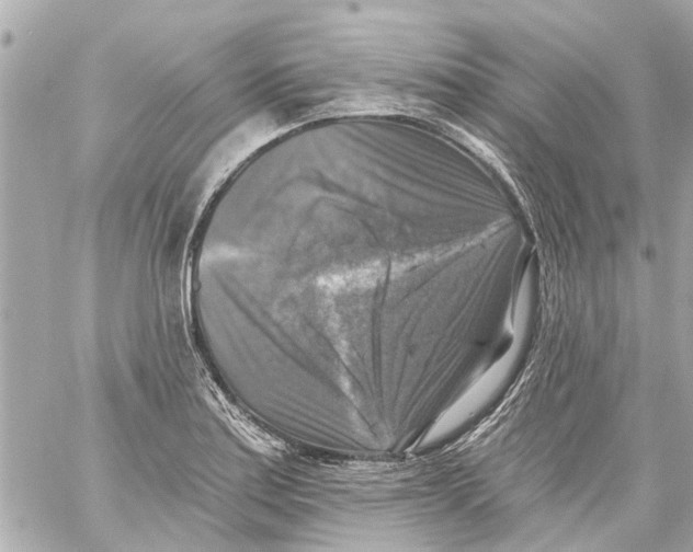 X0000059081179200511041813