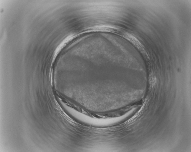 X0000059081180200511041813