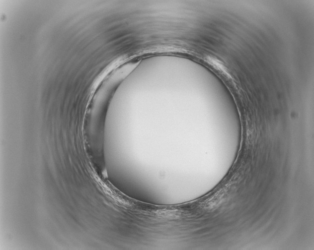 X0000059081181200511041813