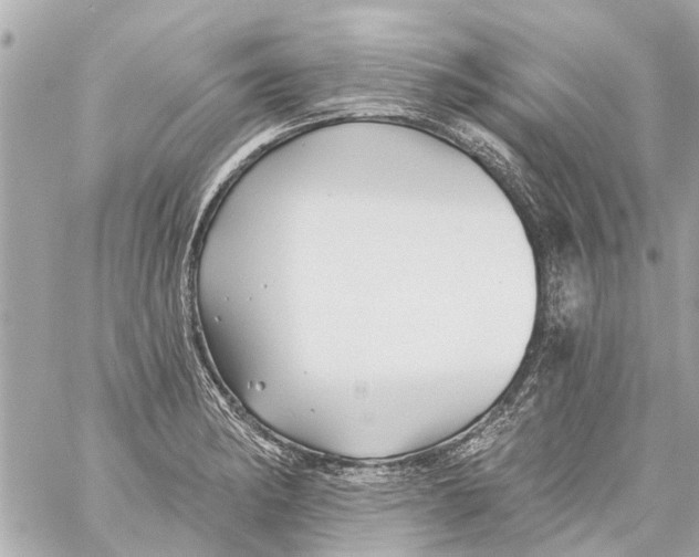 X0000059081182200511041813