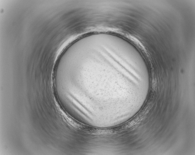 X0000059081183200511041813