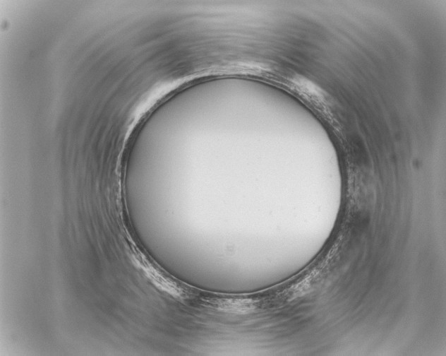 X0000059081184200511041813