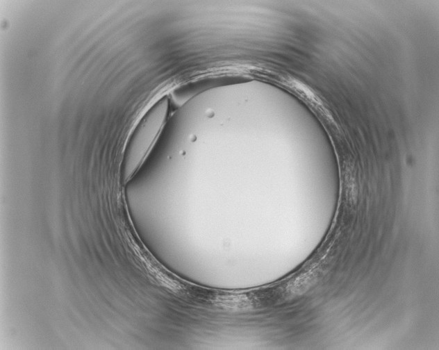 X0000059081186200511041813