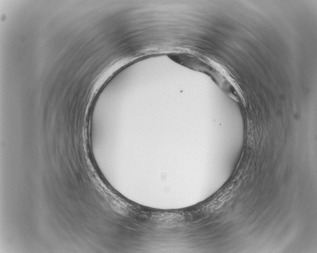 X0000059081187200511041813