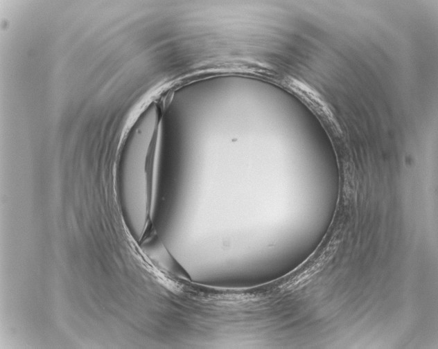 X0000059081188200511041813