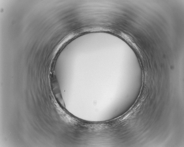 X0000059081189200511041813