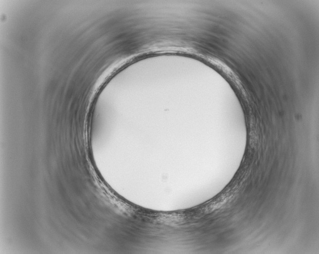 X0000059081191200511041813