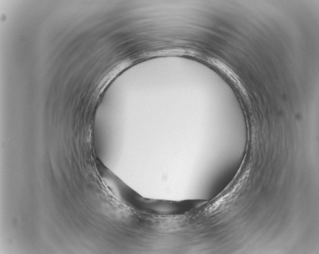 X0000059081193200511041813