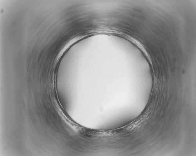 X0000059081195200511041813