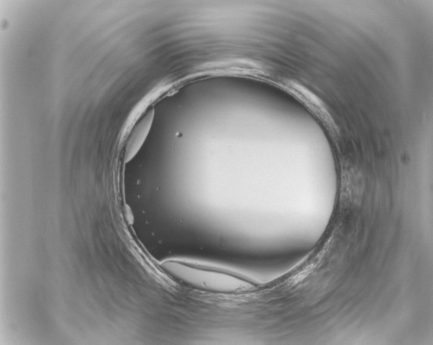 X0000059081196200511041813