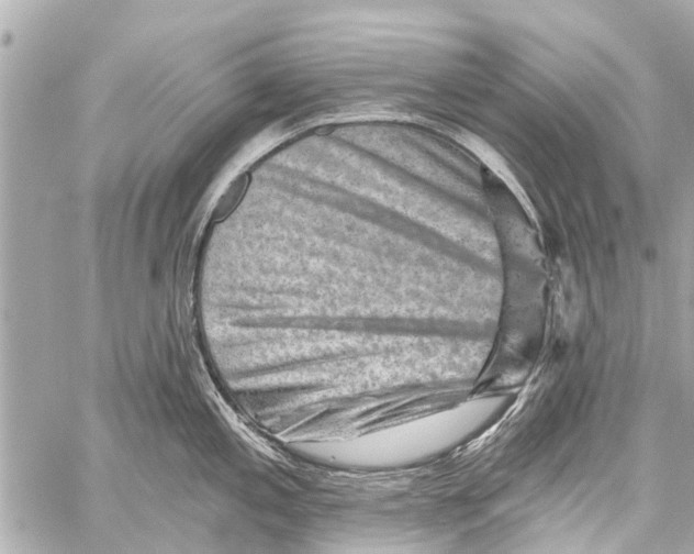 X0000059081197200511041813