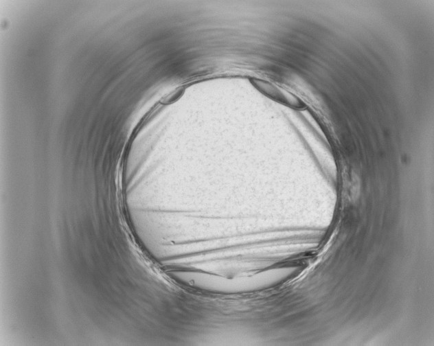 X0000059081198200511041813