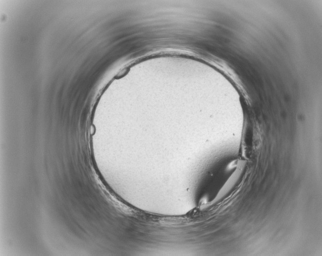 X0000059081199200511041813