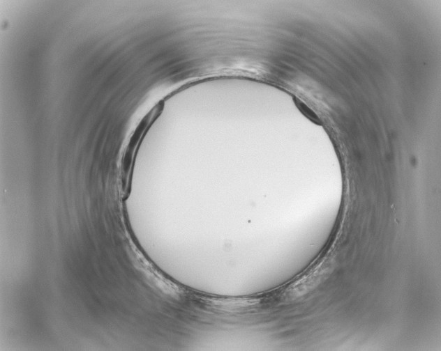 X0000059081200200511041813