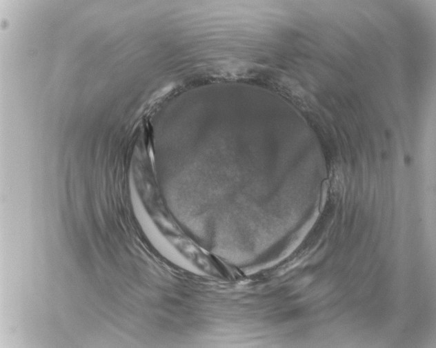 X0000059081202200511041812