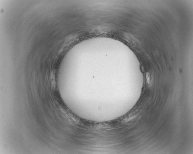 X0000059081203200511041812