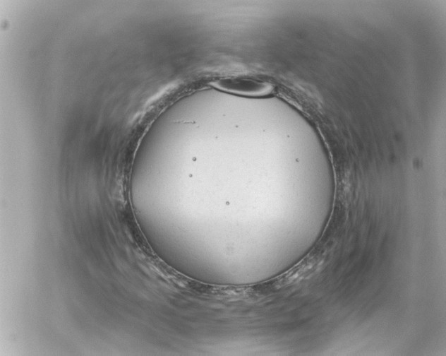 X0000059081205200511041812