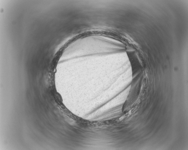 X0000059081208200511041812