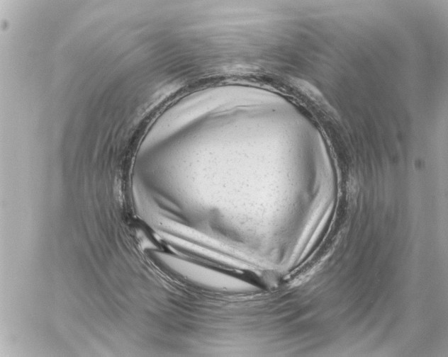 X0000059081209200511041812