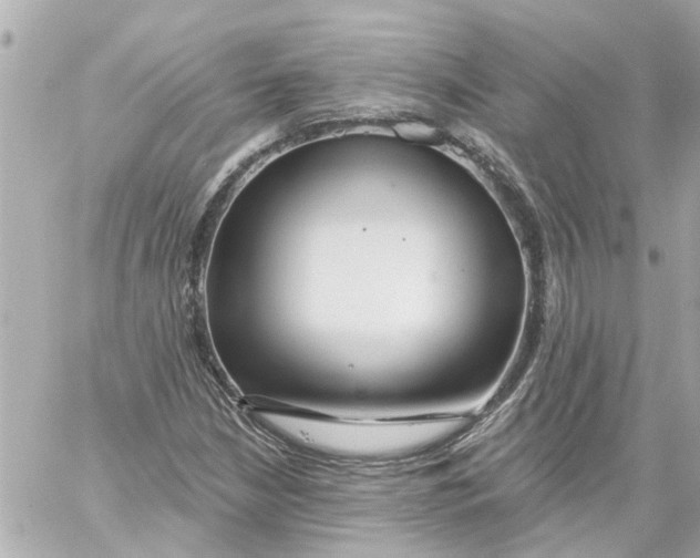 X0000059081210200511041812