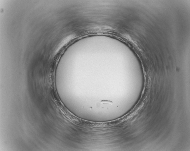 X0000059081211200511041812