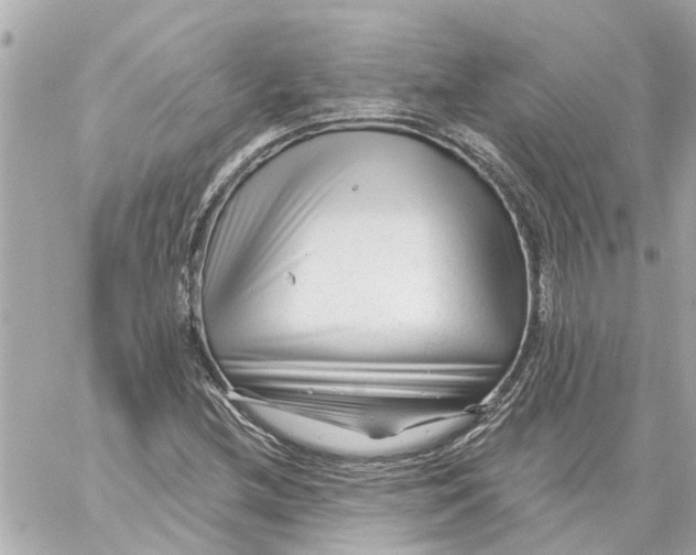 X0000059081212200511041812