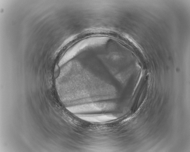 X0000059081213200511041812