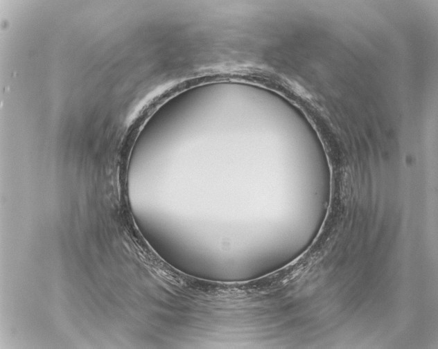 X0000059081214200511041812