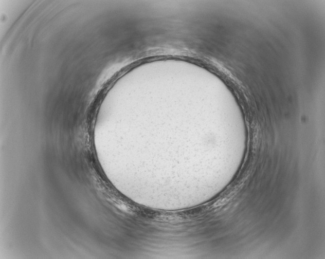 X0000059081215200511041812