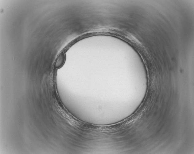 X0000059081216200511041812