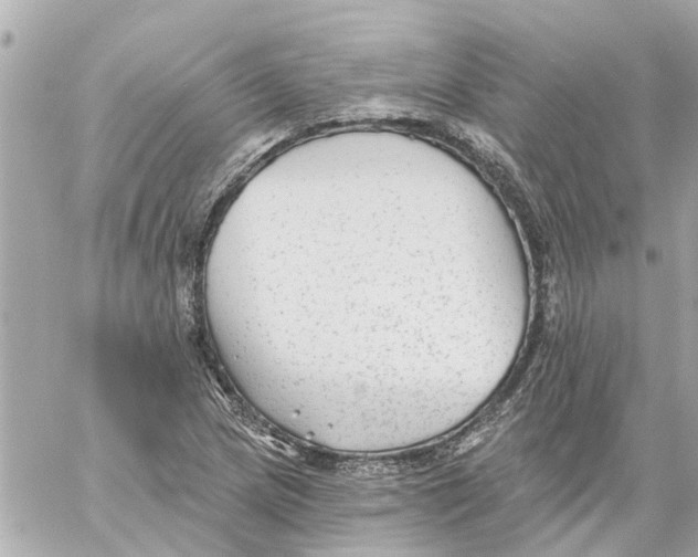 X0000059081217200511041812