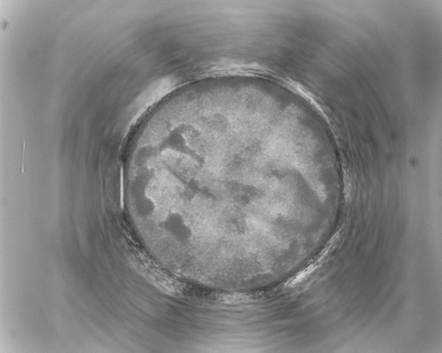 X0000059081219200511041812