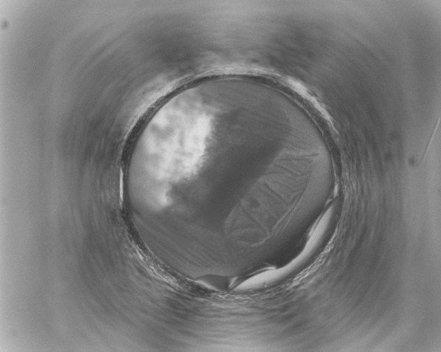 X0000059081221200511041812