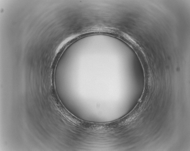 X0000059081222200511041812