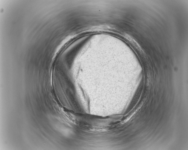 X0000059081224200511041812