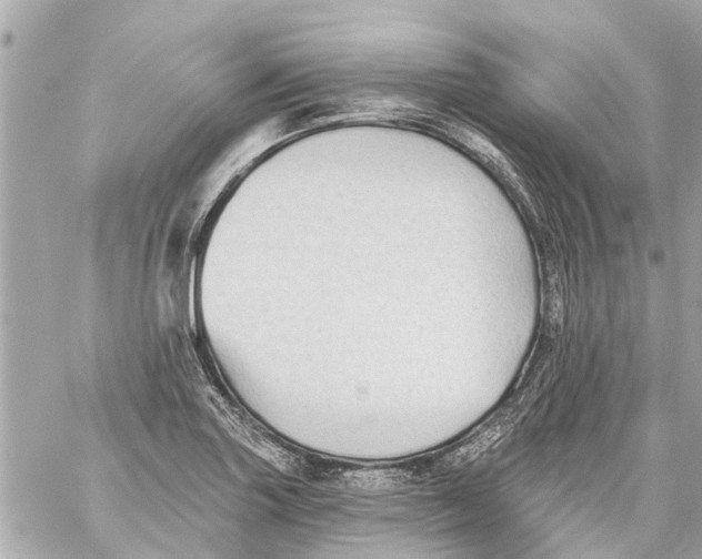 X0000059081227200511041812