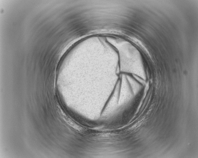 X0000059081228200511041812