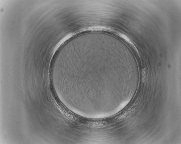 X0000059081229200511041813