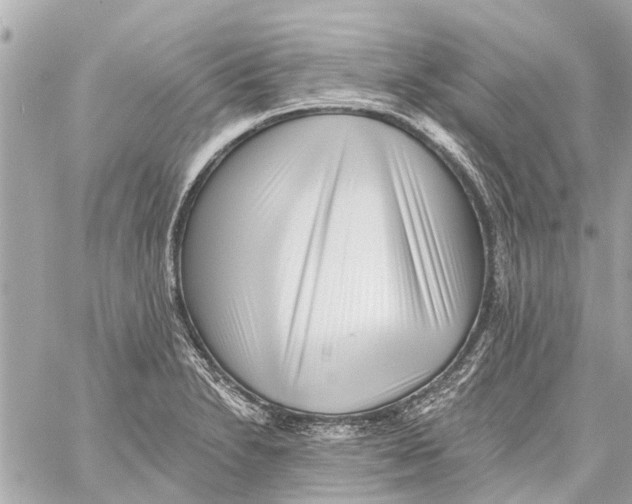 X0000059081230200511041813